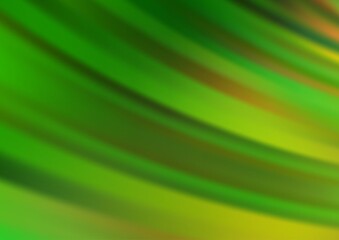 Light Green vector backdrop with long lines.