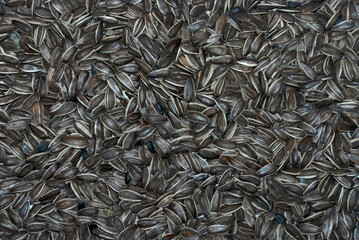 sunflower seeds