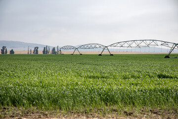 Irrigation pivot in a green field 3