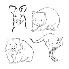 Wombat hand drawing. Vector art illustration. Black graphic isolate on white background. The object of a naturalistic sketch.