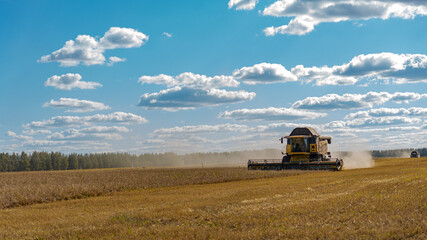 Fototapeta premium Combine on the field