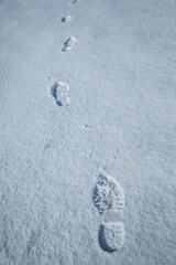 Fresh snow with morning sunlight with foot prints