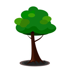 The Tree on white background