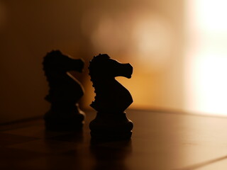 low key chess still life - two knights in line