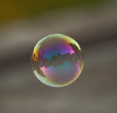 soap bubble