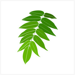Fototapeta na wymiar Vector image of a fern branch.The picture is intended for advertising and textile companies.