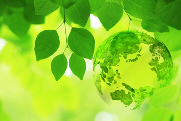 新緑の葉と葉っぱの地球儀