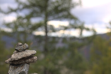 nature