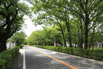 車道