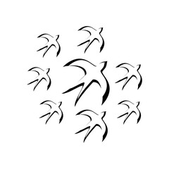 Obraz premium creative logo design Swallow bird logo vector template illustration