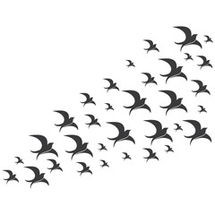 creative logo design Swallow bird logo vector template illustration