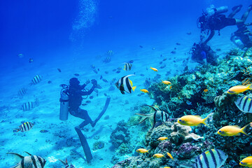 Naklejka na ściany i meble divers swimming underwater near coral reefs