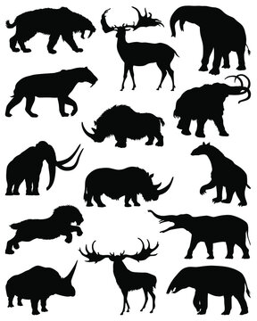 Primitive animals silhouette. Set of silhouettes primitive animals. Ancient animals. Vector illustration.