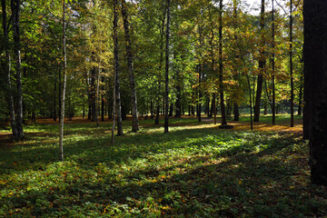 autumn landscape in a park in the suburb of St. Petersburg Pushkin, Russia