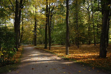 autumn landscape in a park in the suburb of St. Petersburg Pushkin, Russia