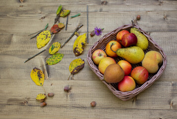 Assortment of fruits in a basket on the table. There are many different raw fruits in the basket. Peaches, apples and pears on the table. Top view with a space for text on a wooden background