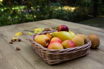 Assortment of fruits in a basket on the table. There are many different raw fruits in the basket. Peaches, apples and pears on the table Top view with a space for text on a wooden background