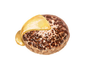 チーズ付きハンバーグ