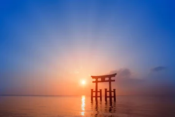 Gardinen 白鬚神社の鳥居と朝日 © miiko