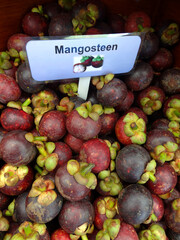Exotic mangosteen fruits on a shop.