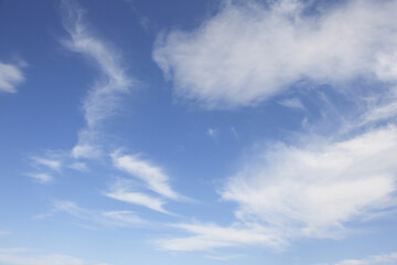 Obraz premium 青空