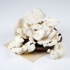 Oyster mushrooms that have been harvested are fresh white and ready for consumption, photographed as attractive as possible against a white background.