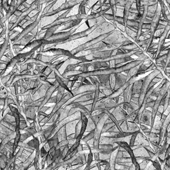 Naklejka premium Tropical seamless pattern. Black and white 