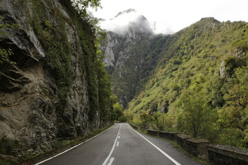 road to the mountain surrounded by nature inside a canyon