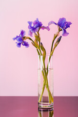 bouquet of wonderful iris flowers on the table