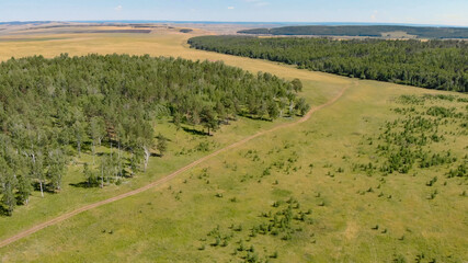 Birch grove and dense forests surround green meadows covering hills and fields © nikol85