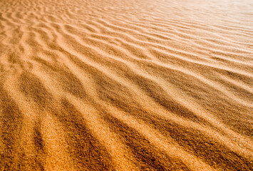 The largest desert in Europe. Desert landscape with sand waves. Dunes background. Sandy dunes with footprints. Oleshky Sands in Kherson region, Ukraine.