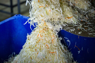 Industrial production of food. Production of sauerkraut or fermented cabbage. Automated cob...