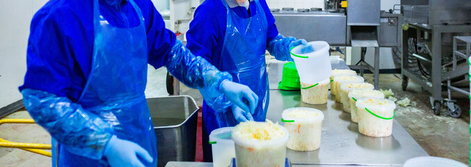 Industrial production of food. Production of sauerkraut or fermented cabbage. After slicing and...