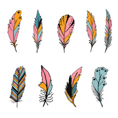 Colorful detailed bird feathers set. Hand drawn editable elements, realistic style, vector illustration.
