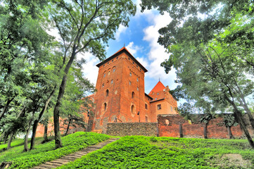  Zamek w Nidzicy. © robnaw