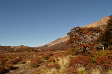 Fototapeta premium Hiking around the turquoise glacial lakes around El Chaltén, Laguna de Los Tres and Fitz Roy mountains in Patagonia, Argentina