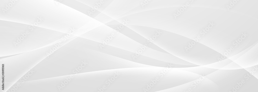 Wall mural abstract grey background poster with dynamic waves. technology network vector illustration.