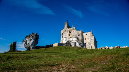 Zamek w Mirowie – ruiny zamku leżącego na Jurze Krakowsko-Częstochowskiej, wybudowanego w...