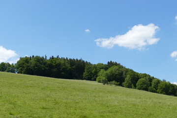 Wiesen und Wälder in Hanglage