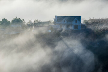 the sound of the light