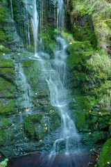 Naklejka premium waterfall in the forest