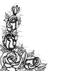 modern, monochrome bouquet of rose blades of grass. Flower arrangement hand - drawn, isolated on a white background. background, Wallpaper with space for text. sects, sketch in vintage style. © dezignstock