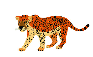 Jaguar vector illustration isolated on white background. Big cat, silent predator from America. Beautiful animal.