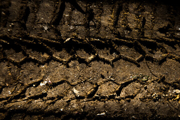 Wheel track on dirty mud