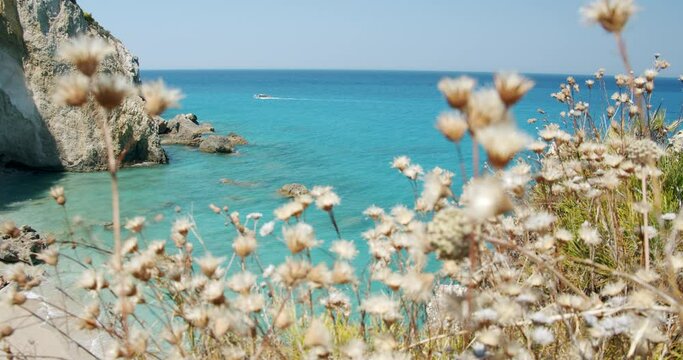 Dry plants and blue mediteranean sea coast. Blurred turquoise colored lagoon in background, Lefkada, Ionian Islands, Greece
