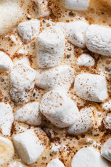 Close up view of cocoa with marshmallows and cinnamon