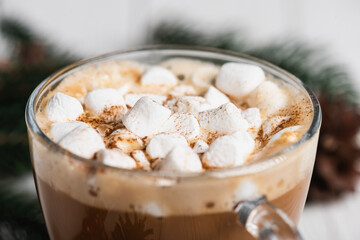 Close up view of glass cup of cocoa with marshmallows and cinnamon