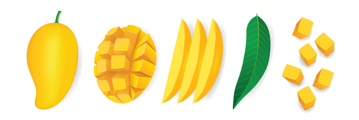 Mango fresh fruit graphic vector illustration.