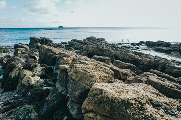 jagged rocks by the sea