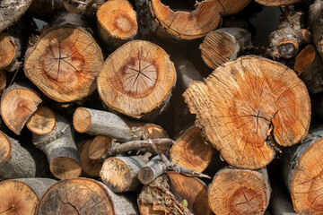 Stock Photo - Close up, macro. Stack of wood stock. Timber stack, wood pile. Background, texture.